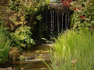 W Kew Gardens 2010_07   7