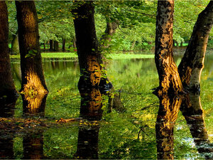 Zalany park w Zgorzelcu