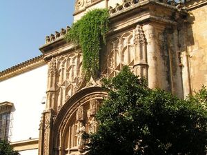 Cordoba 004