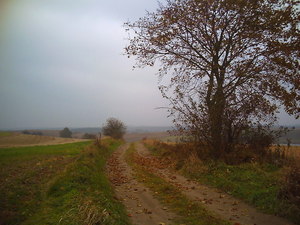 Jesień - okolice Lubawy