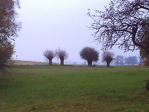 Jesień - okolice Lubawy