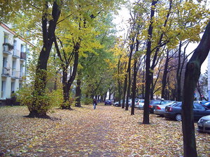 Jesień - Warszawa