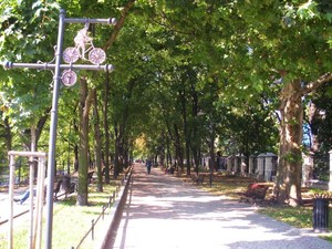 Wrocław