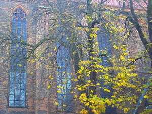 Toruń