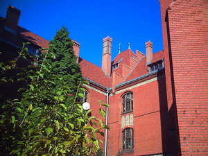 Toruń