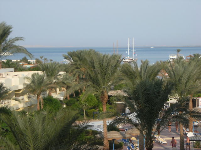 Dscf2320
