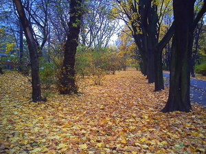 Jesień - Warszawa