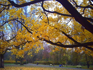 Jesień - Warszawa