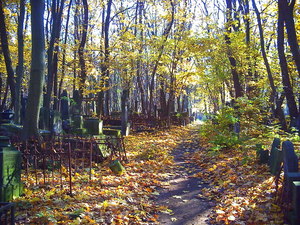 Warszawa - cmentarz żydowski (Wola)