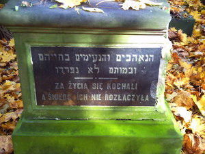 Warszawa - cmentarz żydowski (Wola)