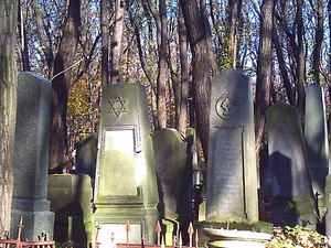 Warszawa - cmentarz żydowski (Wola)