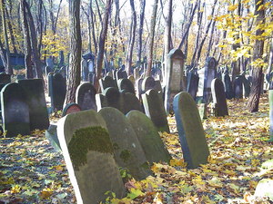 Warszawa - cmentarz żydowski (Wola)