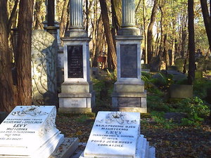 Warszawa - cmentarz żydowski (Wola)