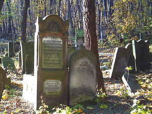 Warszawa - cmentarz żydowski (Wola)