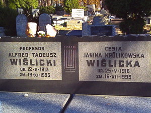 Warszawa - cmentarz żydowski (Wola)