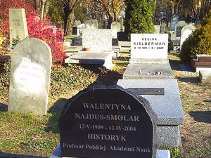Warszawa - cmentarz żydowski (Wola)