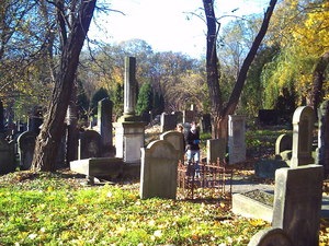 Warszawa - cmentarz żydowski (Wola)
