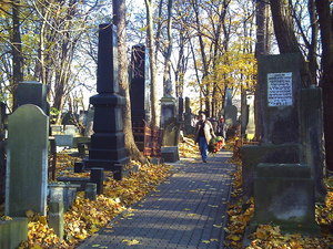 Warszawa - cmentarz żydowski (Wola)