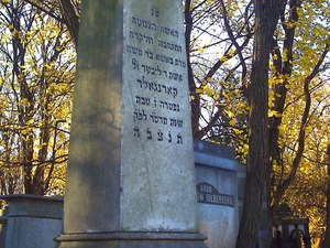 Warszawa - cmentarz żydowski (Wola)