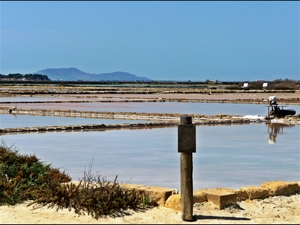 Trapani saliny