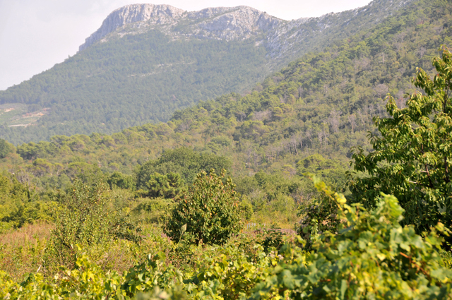 Plw  peljesac  25 