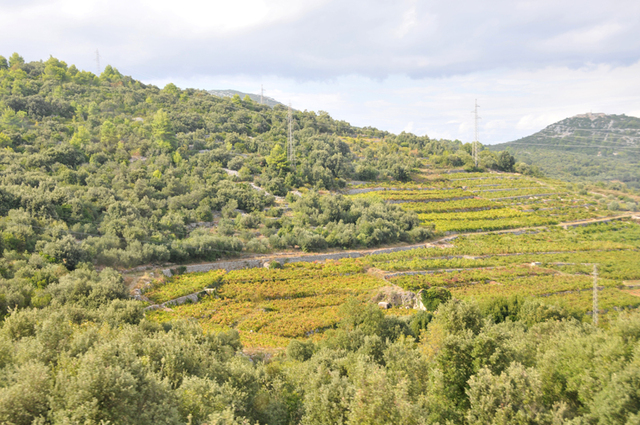 Plw  peljesac  28 