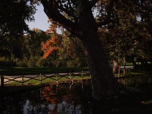 Castello Sforzesco, Mediolan