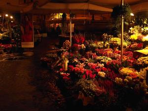 Campo de Fiori, Rzym