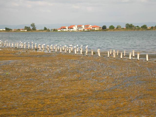 Pomorie - Muzeum Soli