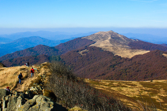 Połonina Wetlińska (Bieszczady)