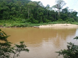 rzeka Tembeling w Taman Negara