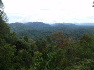 widok z Bukit Teresek