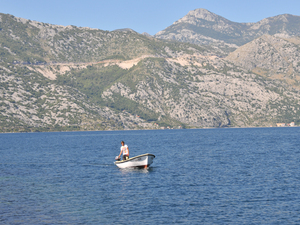 Perast  19 