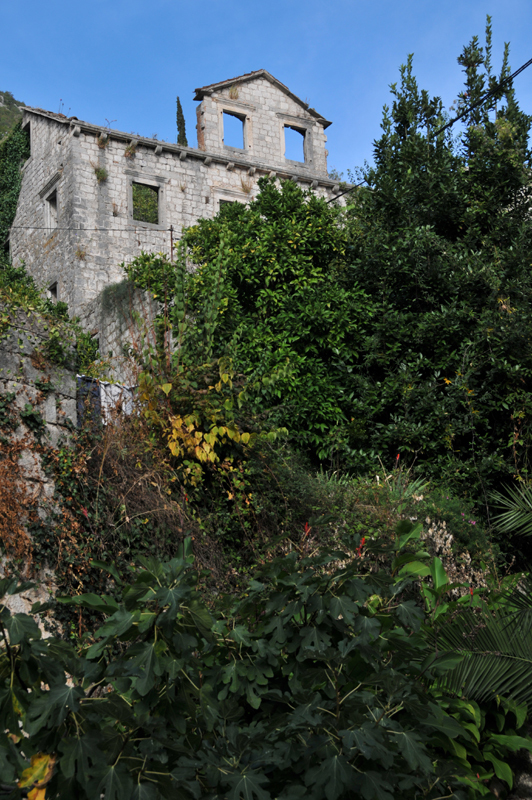 Perast  50 