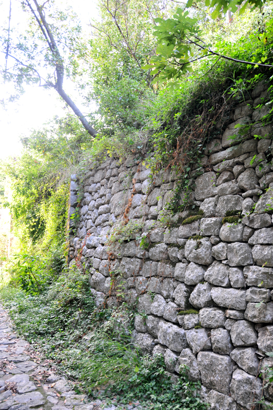 Perast  51 