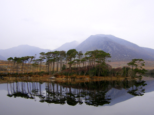 Connemara 2  (Irlandia)