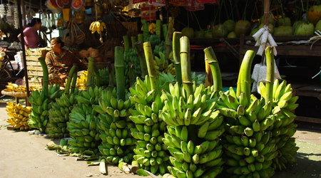 banany czekają na nabywców