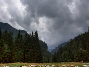 Tatry - Ostrzyżone owce oraz Dolina Kościeliska tuż przed burzą