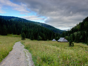 Tatry - Dolina Jaworzynki