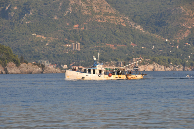 Budva  3 
