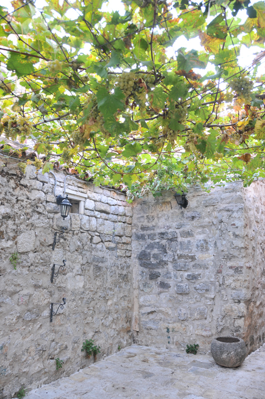 Budva  7 