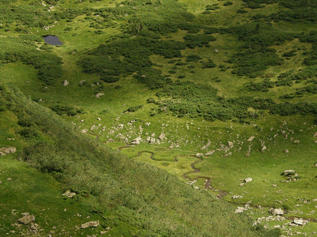 Połoniny Śvidowca, Ukraina, Zakarpacie #2
