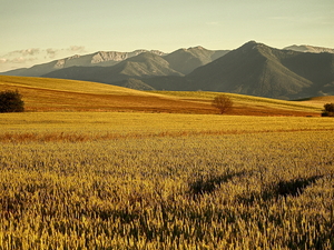 Tatry Niskie