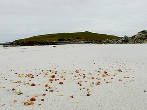 Plaża Orasaigh