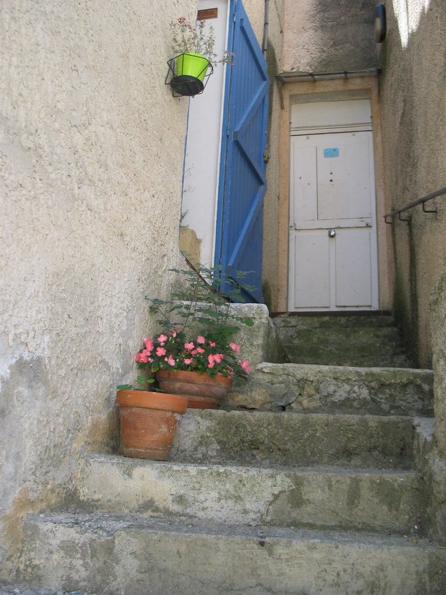 Prowansja