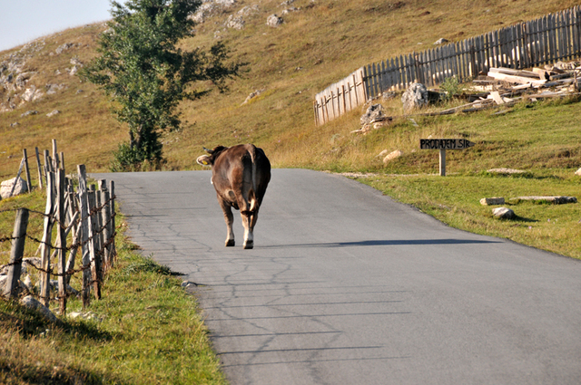 Park narodowy durmitor  2 