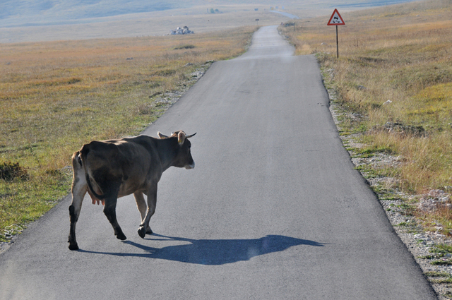 Park narodowy durmitor  5 