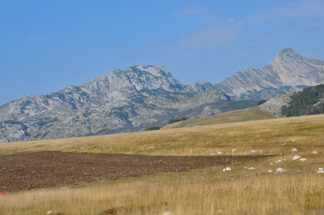 Park narodowy durmitor  6 