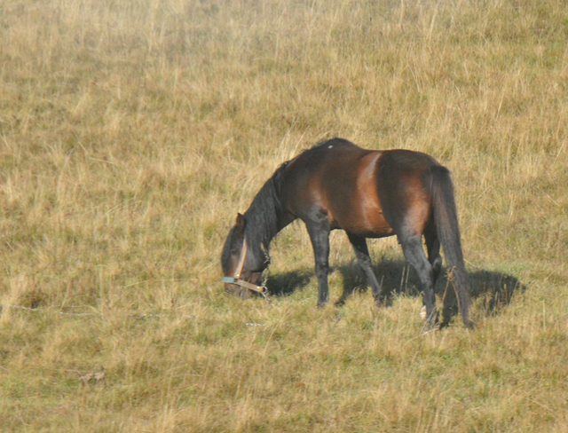Park narodowy durmitor  12 