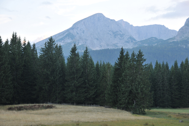 Zabljak  12 